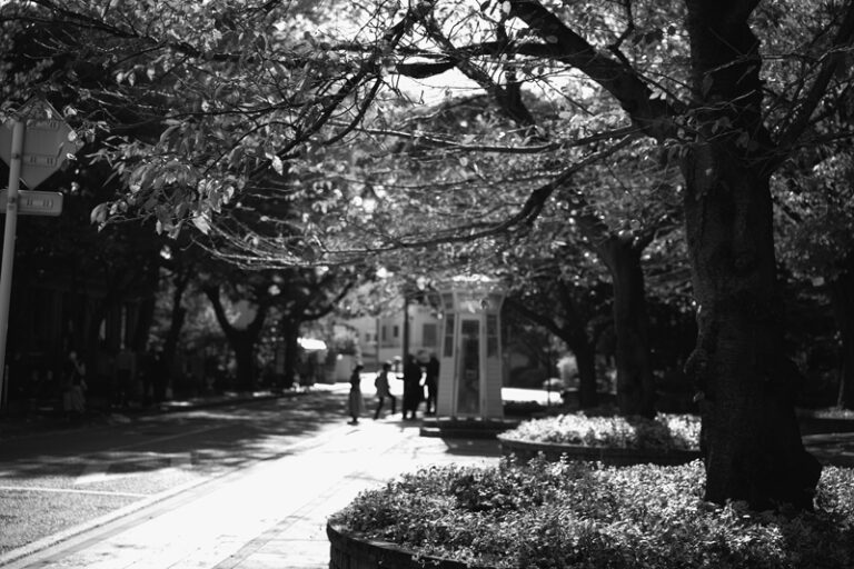 横浜風景２６６３
